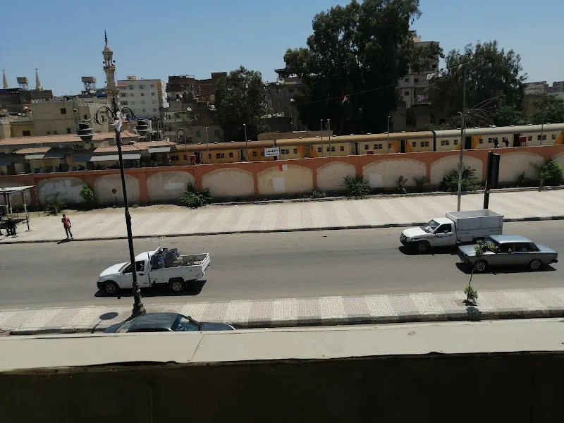 مستشفي المصري