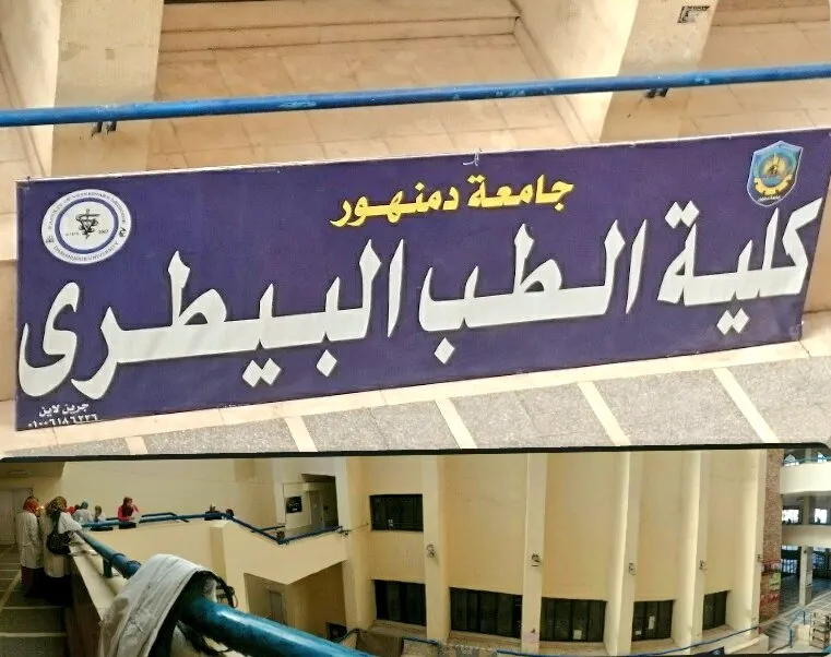 كلية الطب البيطرى جامعة دمنهور
