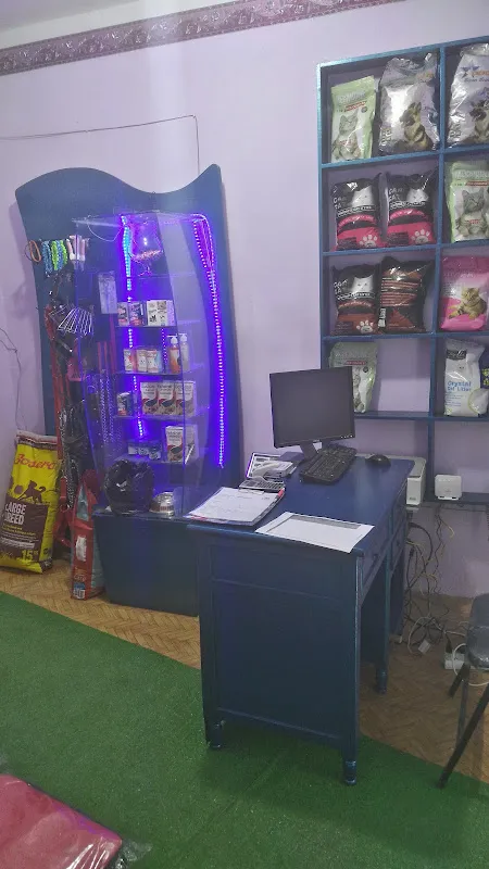 عيادة فرست البيطرية first animal clinic