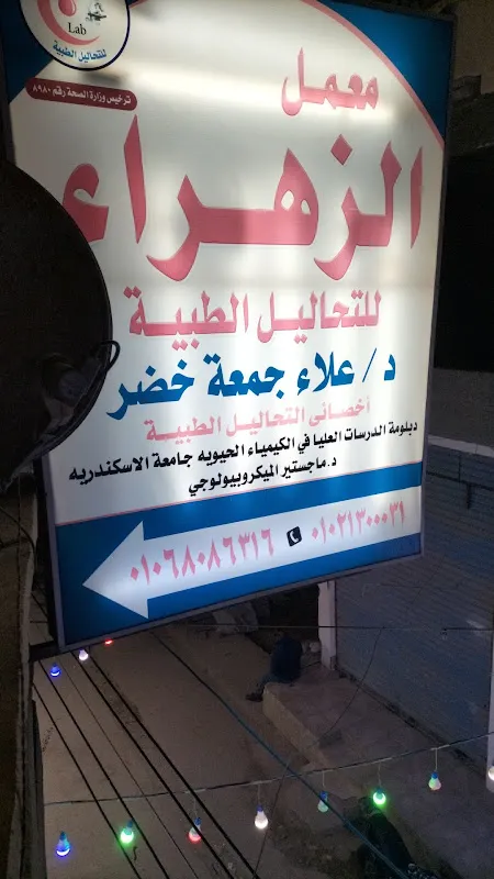 معمل الزهراء للتحاليل الطبيه بدسوق