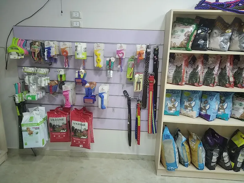 العيادة البيطرية Wellness Vet Clinic