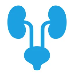Dr. Hassan El-Ghayaty Urology Clinic