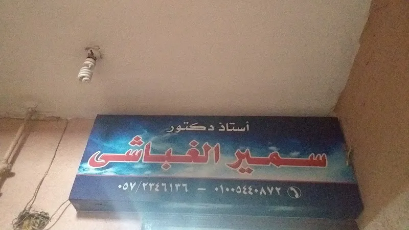 Professor Dr. Samir El-Ghandour