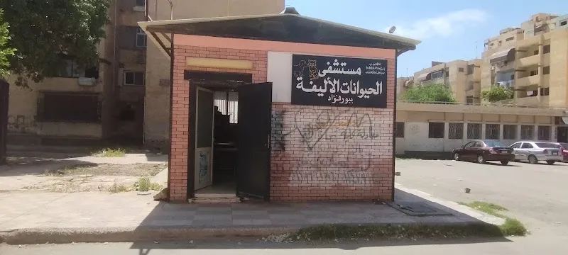 Port Fouad Veterinary Hospital