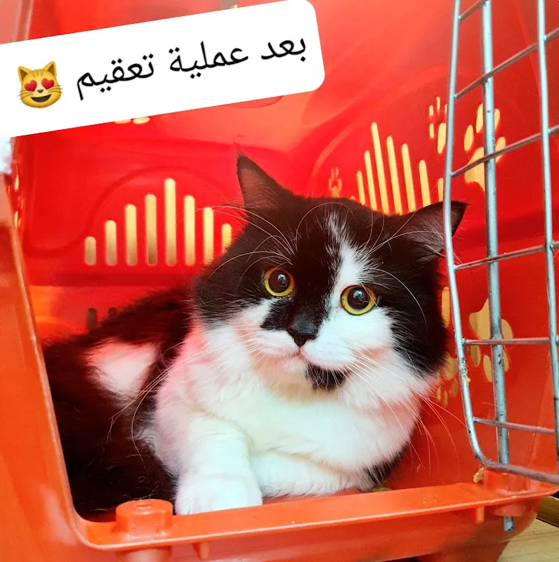 Fishara Pets Clinic