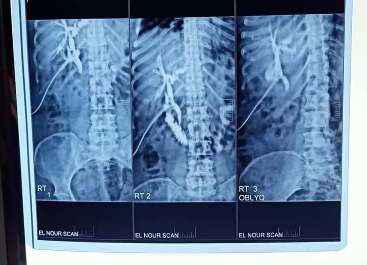 Al-Nour Radiology Center in Al-Qassasin