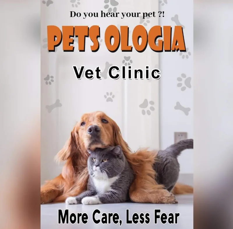 Petsologia عيادة بيطرية