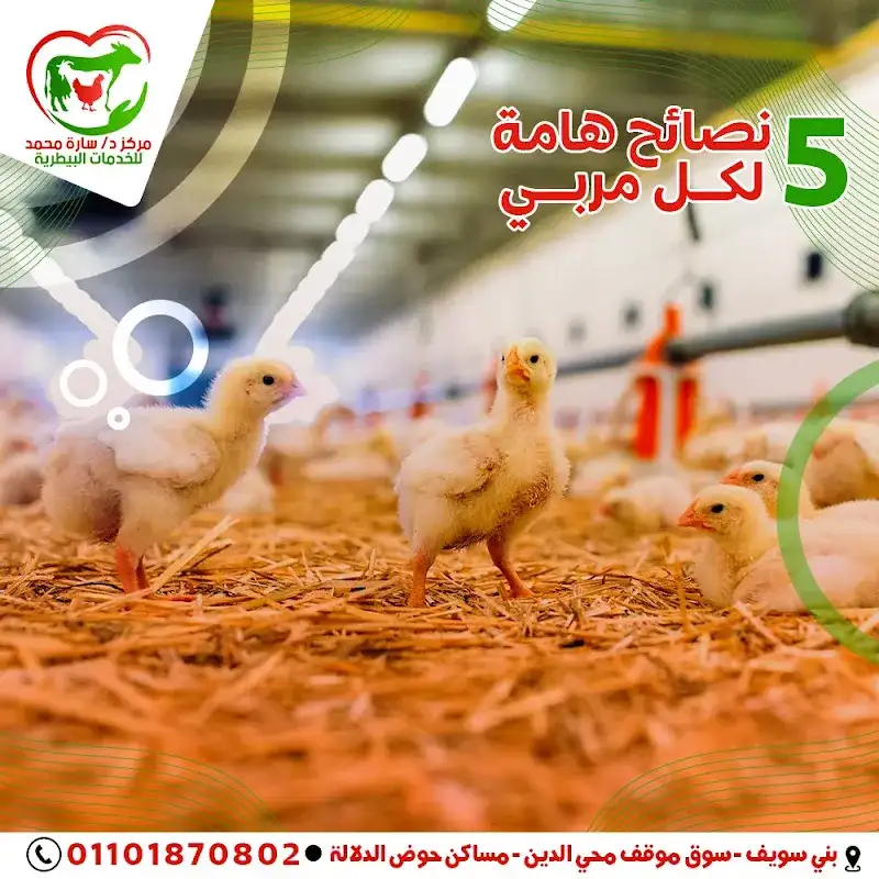 Sky pets clinic