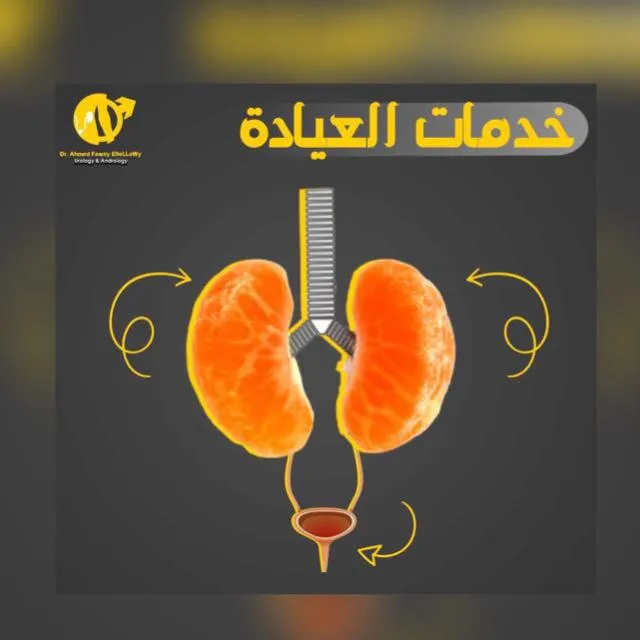 دكتور أحمد فوزي التلاوي