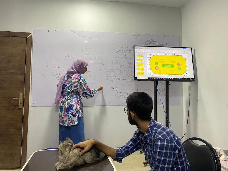 المركز البيطري د هشام الكاشف