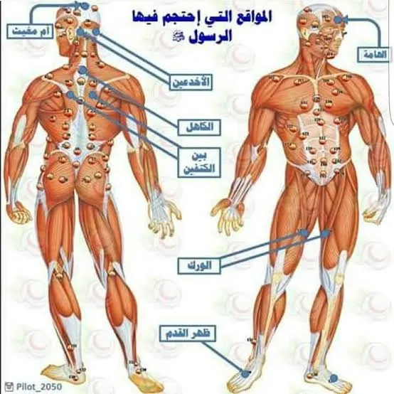 مركز القائد للعلاج الطبيعي والمساج والحجامه