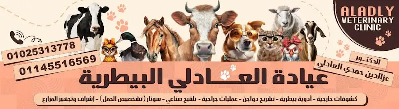 عيادة العادلي البيطرية بارمنت الحيط