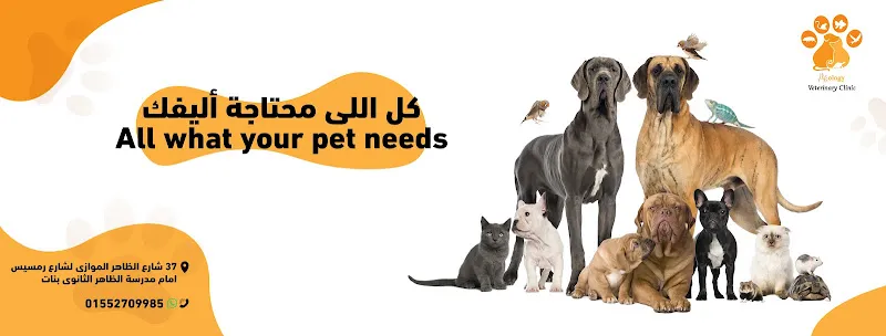 Petsology Veterinary Clinic