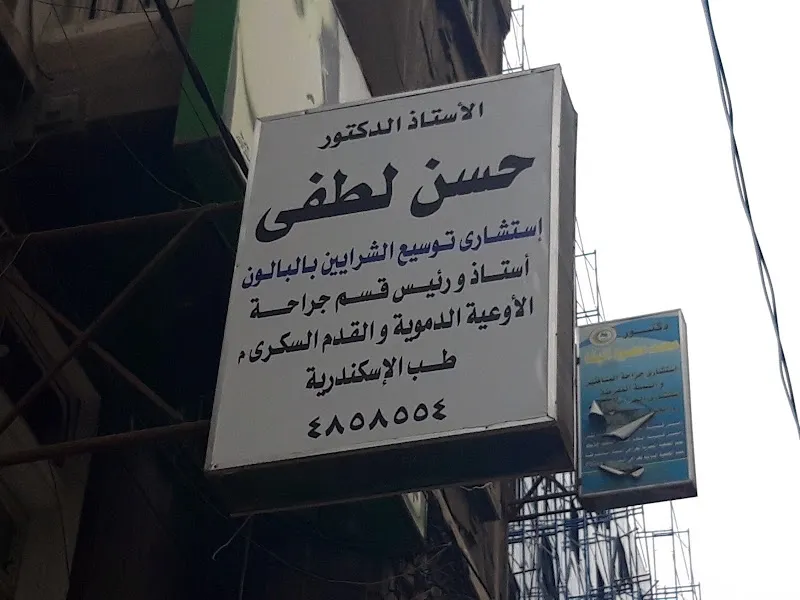 Prof.Dr. Hassan Lotfy