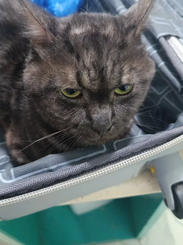 Royal Veterinary Center