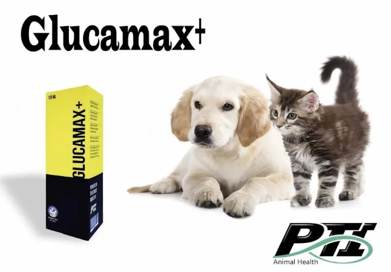 Alexandria Pet Center