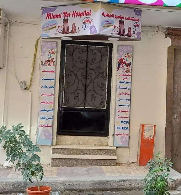 مستشفي ميامي البيطرية - Miami Vet Hospital