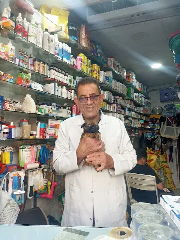 Animal Club Vet Clinic and Pet Store عيادة الخدمات البيطرية