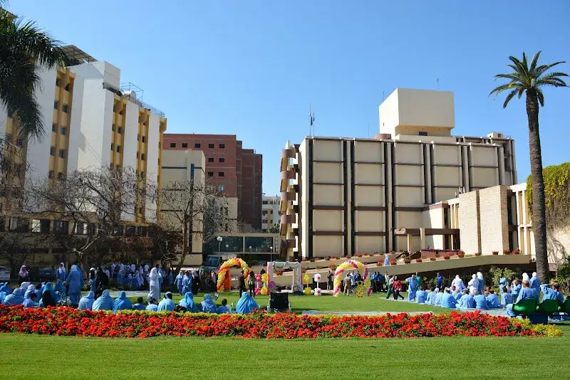 مركز المسالك البولية والكلي - جامعة المنصورة