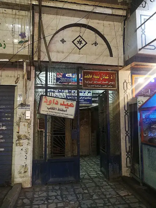 دكتور عادل نبيه محمد - استاذ مسالك بولية