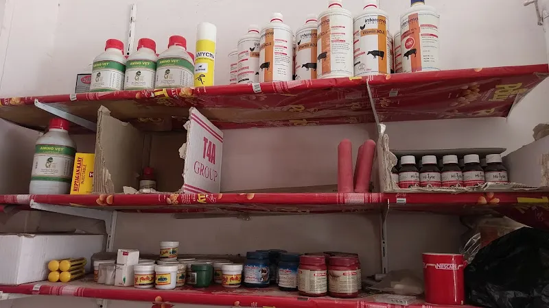 عيادة الاتحاد البيطريه UNITED veterinary clinic