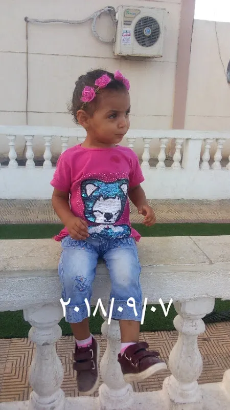 دكتور محمد غندر