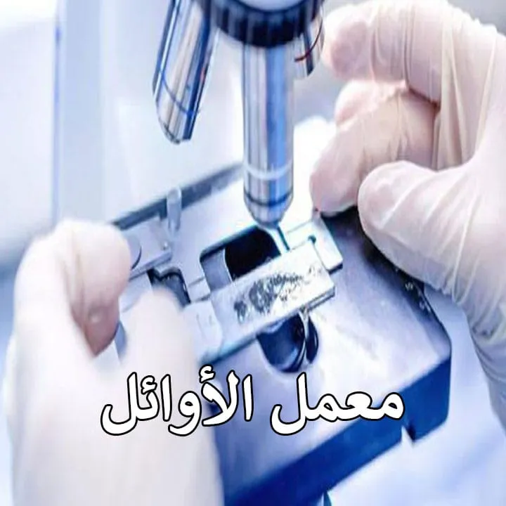 معمل الأوائل