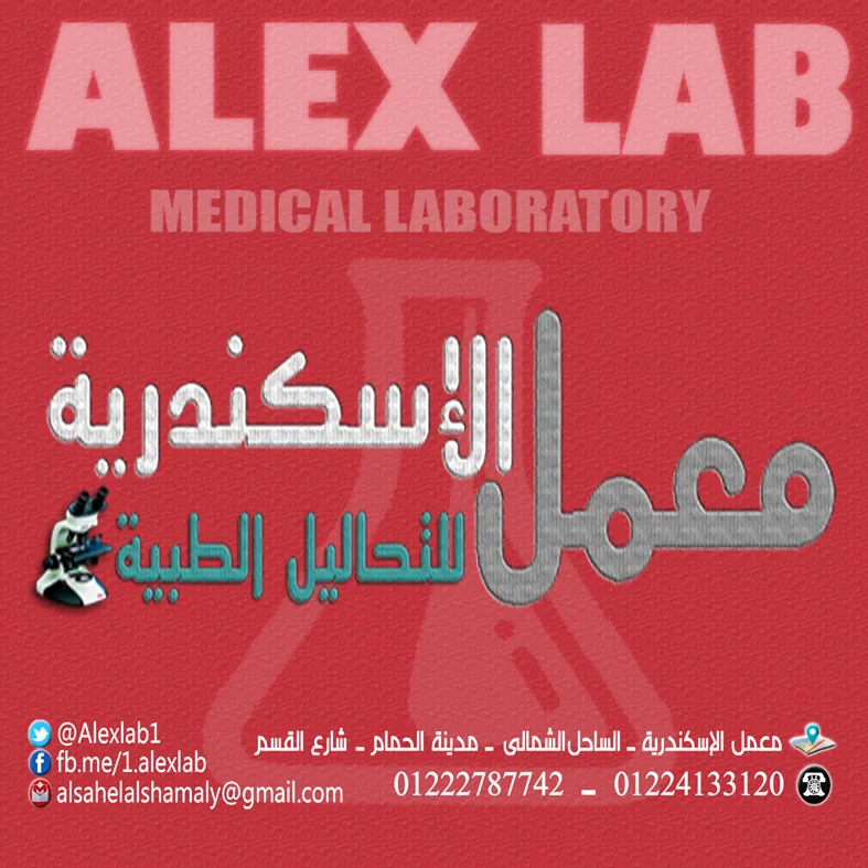 معمل الأسكندريه الساحل الشمالي