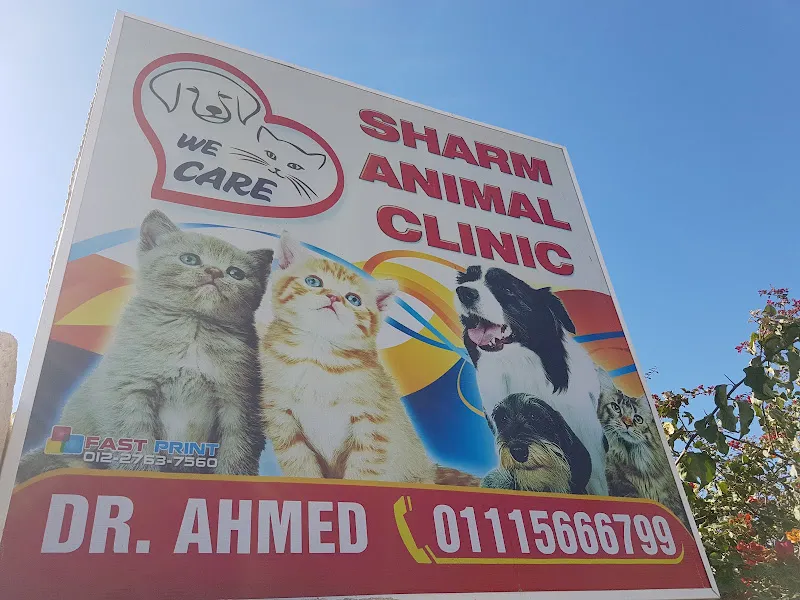 Sharm Animal Clinic