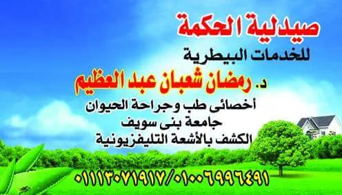 Veterinary clinic owned by Dr. Hind Khalaf Jalal