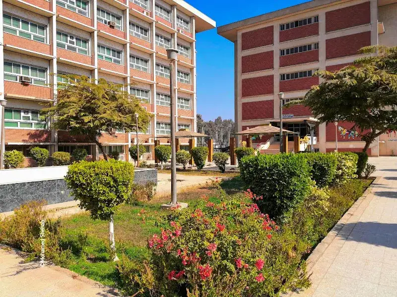 كلية الطب البيطري جامعة أسيوط