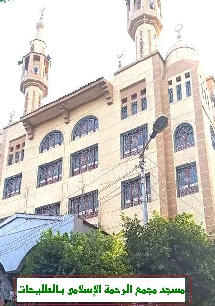 مركز الفؤاد لجراحات النساء والتوليد والعقم للدكتور احمد فؤاد موسي