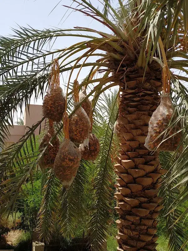 عيادة الوهاب البيطرية