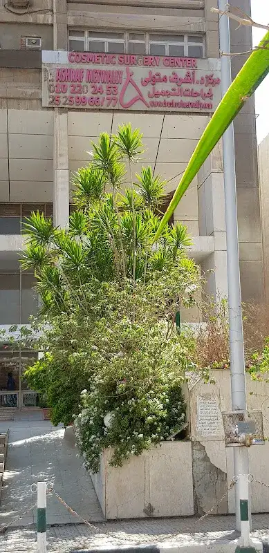 ساكورا للسياحة