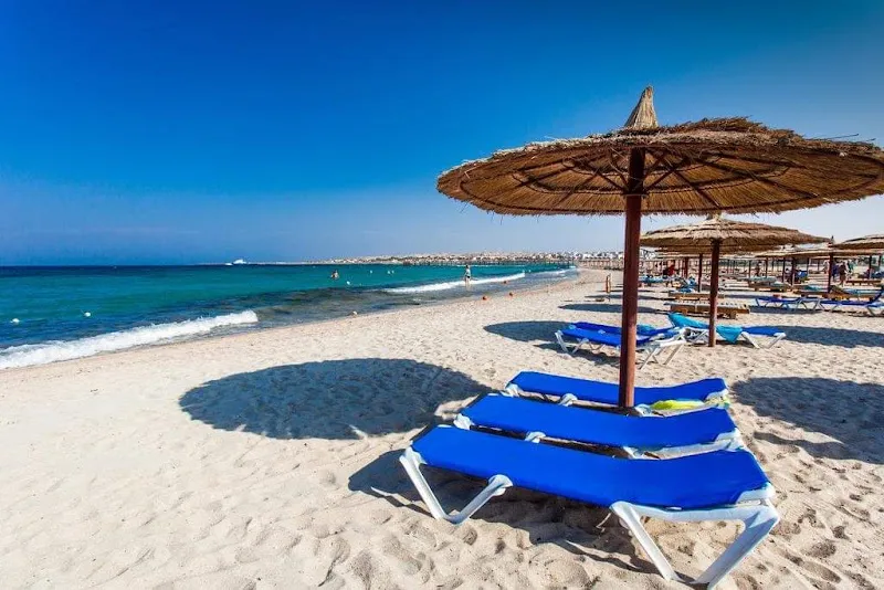 روز ترافيل للسياحة - Rose Travel