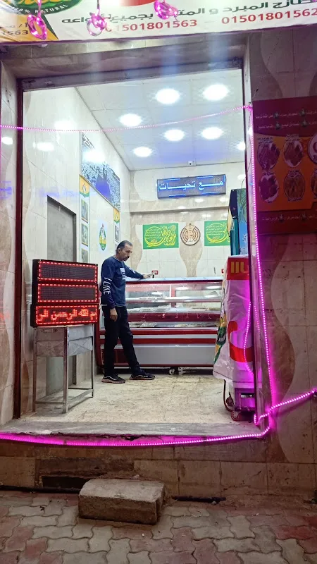 Fresh Damietta