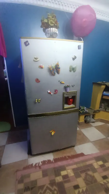 SAMSUNG Refrigerator Maintenance