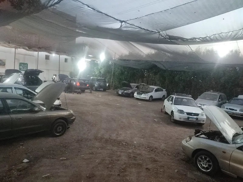 Egyptian Automotive Services Agencies