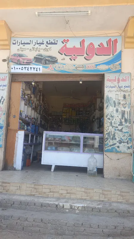 الدولية