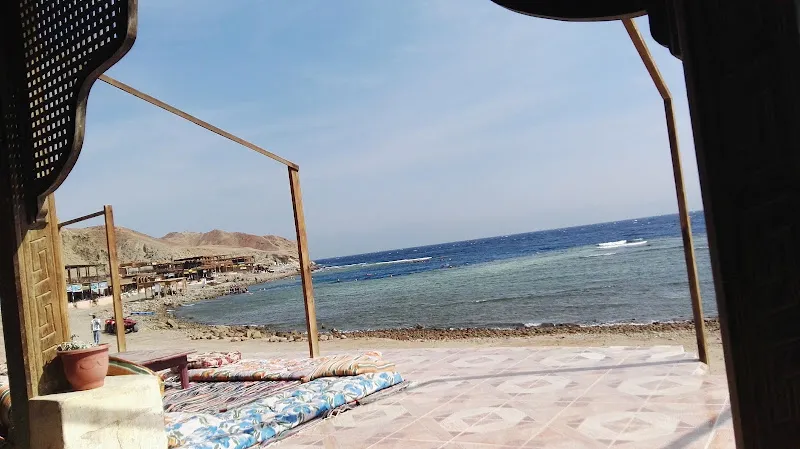 Dahab Tourism Company