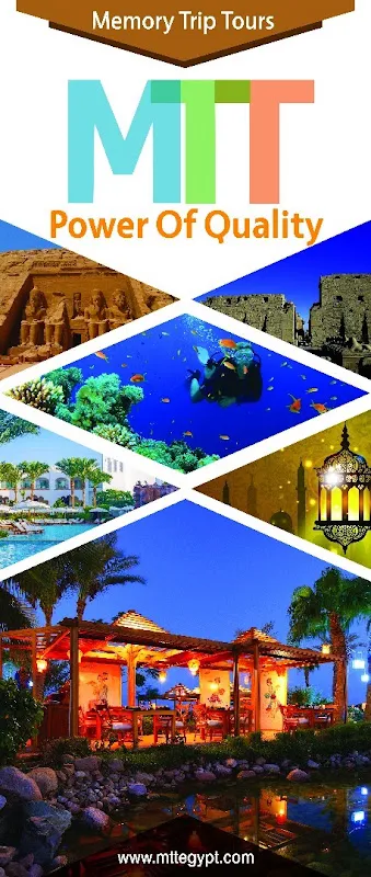 Memory Trip Tours