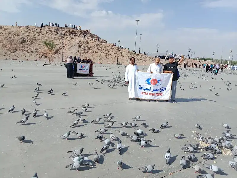 الترا مصر للسياحة