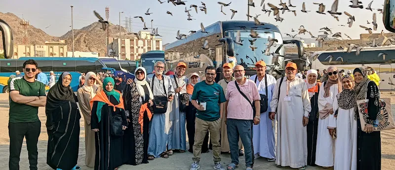 هالة تورز