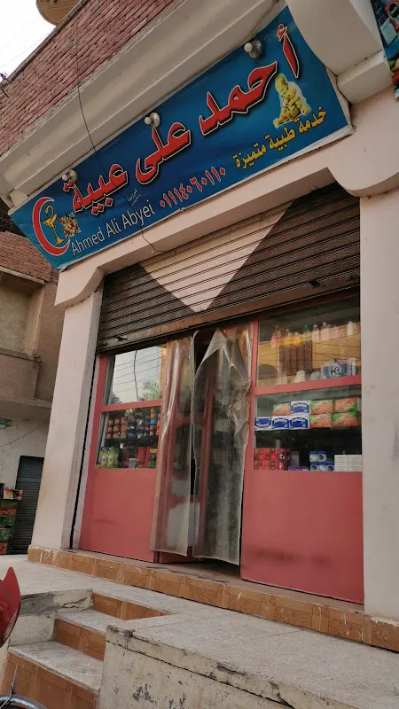 شركة فيزا للسياحة