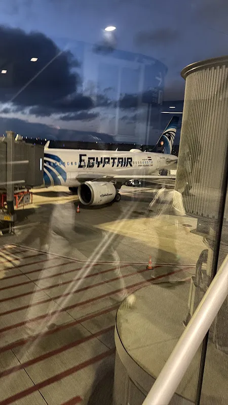EgyptAir Zagazig