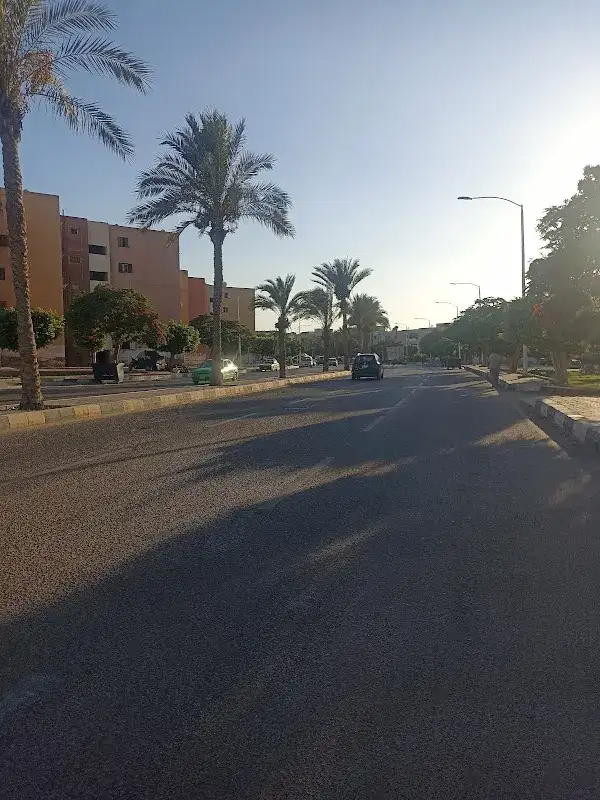 Go Tours Egypt - Sadat City Branch