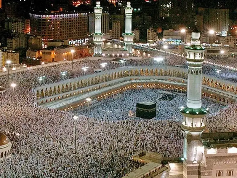شركه انوار المدينه للسياحه. السنطه