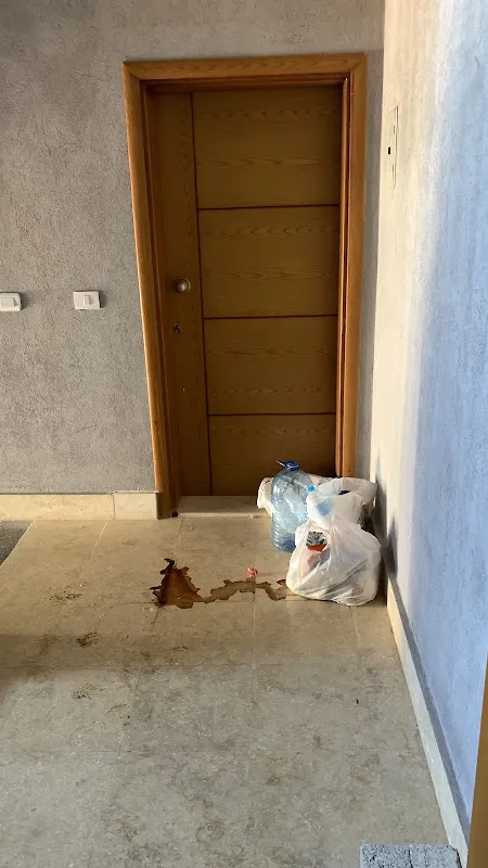خضر للسياحة