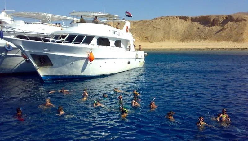 Morgana Yacht- ايجار يخوت