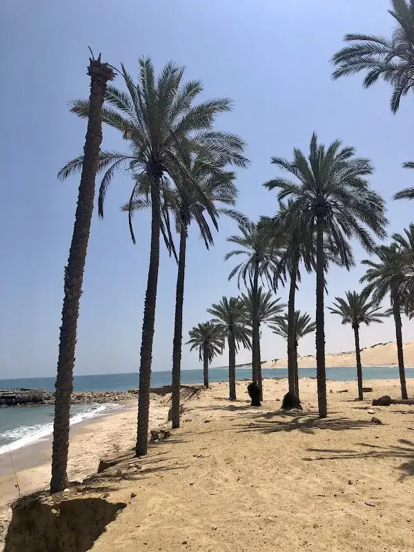شاطئ الريسه
